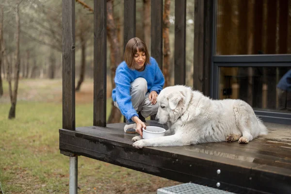 森の中の木の家のポーチに座っている間 若い女性はかわいい白い犬に餌をやります ペットの世話と自然の概念に休息 — ストック写真