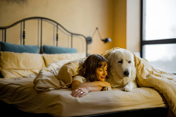 Милая Молодая Женщина Лежит Своей Белой Очаровательной Собакой Покрытой Одеялом — стоковое фото