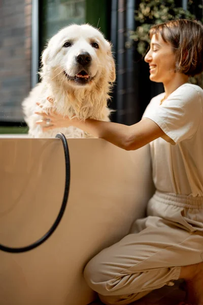 Young woman cares her cute dog while washing in bathtub at home. Concept of animal care and friendship with pets. Maremmano abruzzese dog breed