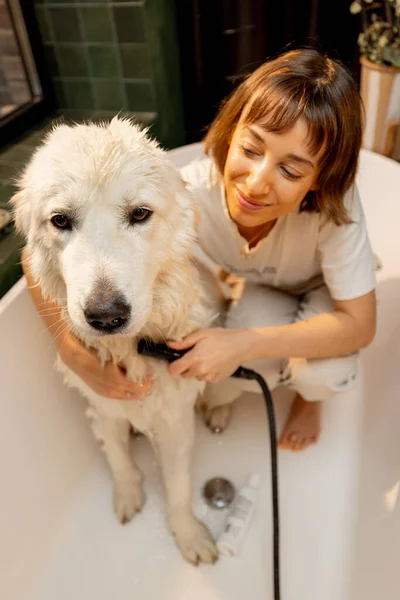 Young Woman Washing Her Cute White Dog Bathtub Home Concept — Stock fotografie