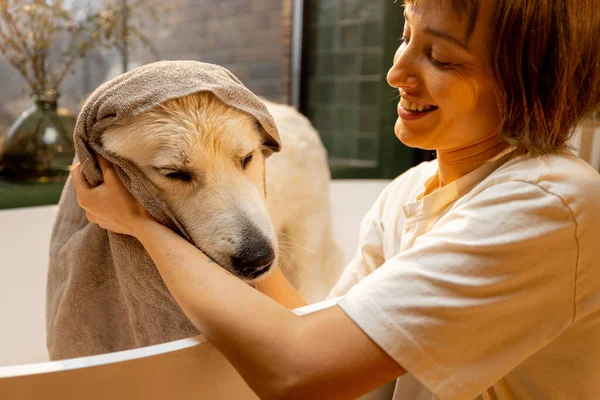 Young Woman Wipes Her Dog Towel Taking Bath Home Concept — Stock fotografie