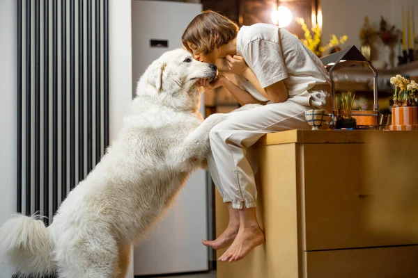 Young Woman Plays Her Huge White Dog Spending Leisure Time — 스톡 사진