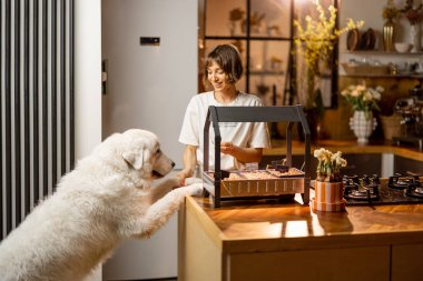 Young woman looks on sprouts, growing greens under artificial lighting on kitchen. Spending leisure time with her dog happily, having a hobby at home