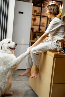 Young woman plays with her huge white dog, spending leisure time together happily on kitchen at home. Concept of friendship with pets and domestic lifestyle