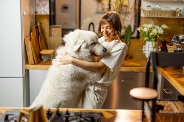 Young woman plays with her huge white dog, spending leisure time together happily on kitchen at home. Concept of friendship with pets and domestic lifestyle