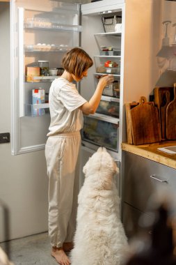 Woman looks into a fridge, cooking with her huge white dog together on kitchen at home