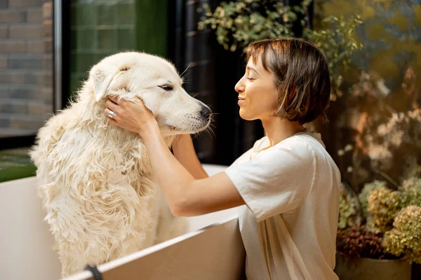 年轻女人在家里洗澡时关心她可爱的狗 动物照料的概念和与宠物的友谊 Maremmano Abruzzese犬种 — 图库照片