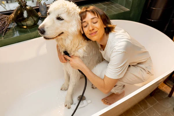 年轻的女人在家里的浴缸里洗她可爱的白狗 动物护理的概念 宠物的温泉疗养程序和友谊 — 图库照片