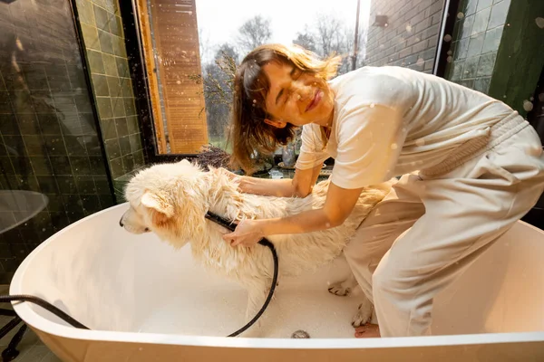 Mujer Feliz Lavando Perro Bañera Perro Sacudiendo Agua Concepto Cuidado —  Fotos de Stock