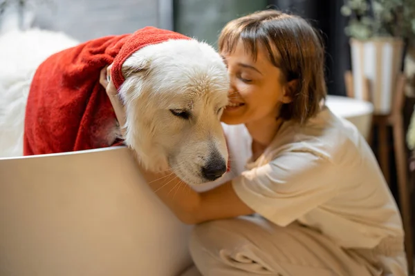 여자는 집에서 수건으로 닦는다 동물을 돌보는 관계를 — 스톡 사진