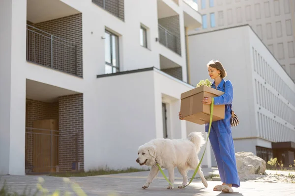段ボール箱を持っている女性は 新しい建物でアパートに彼女の犬と一緒に歩く 新不動産又は引渡しの概念 — ストック写真