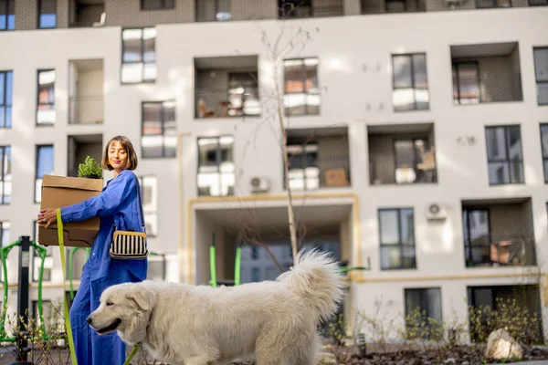 Karton Kutular Taşıyan Bir Kadın Yeni Apartmanın Bahçesindeki Evine Köpeğiyle — Stok fotoğraf