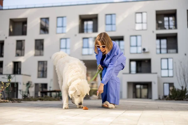 Mujer Señala Con Dedo Caca Los Perros Mientras Camina Con —  Fotos de Stock