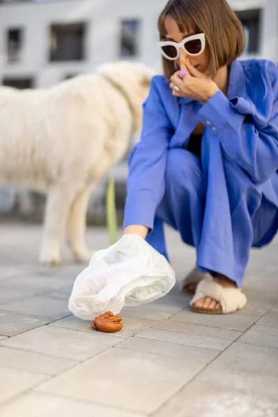 Женщина Убирает Своей Собакой Какая Пластиковый Пакет Время Прогулки Внутреннему — стоковое фото