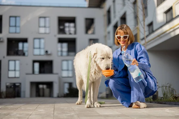 在公寓楼的内部院子里散步的时候 年轻的女人给她的狗的便携式水壶里的水喝 宠物护理的概念 — 图库照片