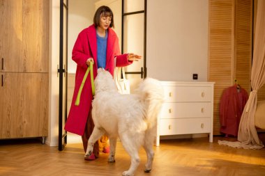 Kadın onunla yürüyüşe çıkmadan önce büyük beyaz köpeğiyle oynuyor. Evcil hayvan konseptiyle iyi eğlenceler.