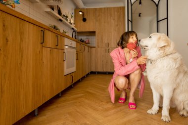 Pembe elbiseli kadın mutfakta kocaman beyaz köpeğiyle kruvasan yiyor. Ev yapımı lüks yaşam tarzı ve evcil hayvan konseptli arkadaşlık.