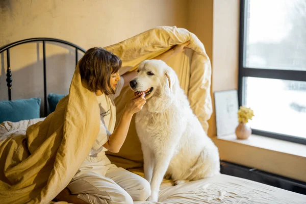 Söt Ung Kvinna Leker Med Sin Vita Bedårande Hund När — Stockfoto