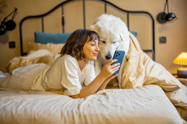 若い女性はベージュのトーンで居心地の良いベッドルームでベッドで彼女のかわいい愛らしい犬と横たわっている間 スマートフォンを使用しています ペットとの余暇の概念 — ストック写真