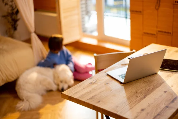 自宅の日当たりの良い部屋で彼女の犬と一緒に仕事の後に休んで女性と日当たりの良い部屋でノートパソコンと居心地の良いワークスペース — ストック写真