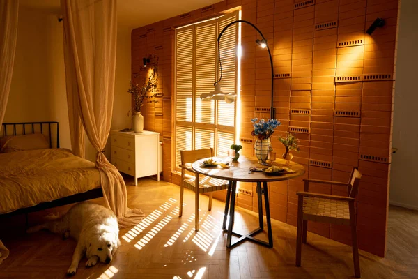 阳光和舒适的工作室公寓与阳光经过百叶窗 狗躺在地板上 用天然材料制成的温暖的内饰 — 图库照片