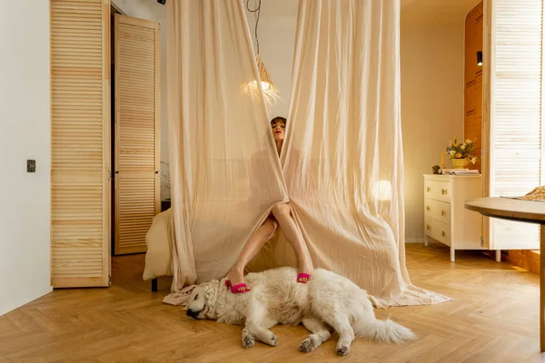 穿着粉红西服的时尚女人坐在舒适的床上放松下来 躲在天篷下 用米色的语调抱着睡狗的腿躺在舒适的卧室里 — 图库照片