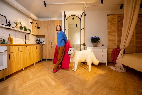 狗在家里客厅门口遇见了它的主人 当你的宠物在等你的时候 快乐的回家的概念 广阔的内部视野 — 图库照片