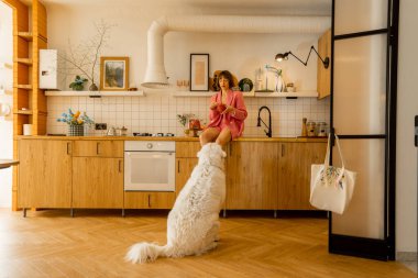 Pembe elbiseli kadın mutfak masasında oturup kocaman beyaz köpeğini yiyor ve besliyor. Evcil hayvan vaktini evde geçiren bir kadın.