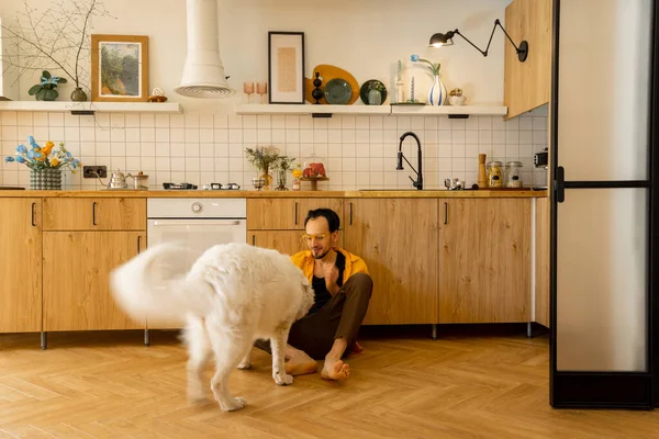 男人在时尚公寓的厨房里与狗快乐地度过闲暇时光 与宠物的友谊和家庭生活方式概念 — 图库照片