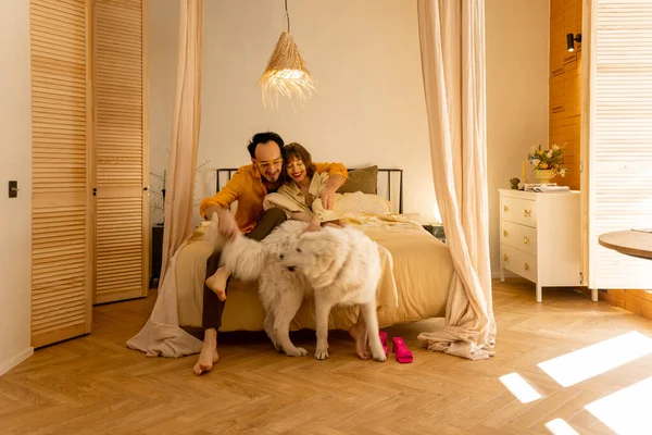 年轻夫妇一起坐在床上和狗玩耍 快乐地在公寓舒适的卧室里度过闲暇时光 玩得很开心 — 图库照片