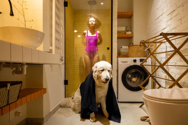 可爱的狗被毛巾覆盖在浴池中 一个女人在后面洗澡 日常生活和卫生 家庭生活方式和宠物概念 — 图库照片