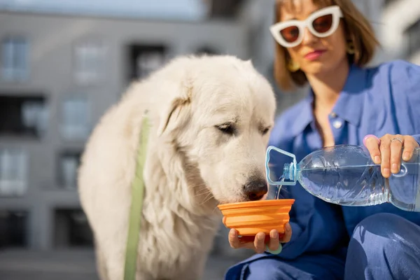 Mujer Joven Agua Para Beber Agua Portátil Para Perro Durante —  Fotos de Stock