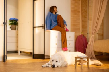 Genç bir kadın sevimli köpeği önünde yerde yatarken rahatlar. Ev hayatı ve ev konforu. Maremma çoban köpeği.