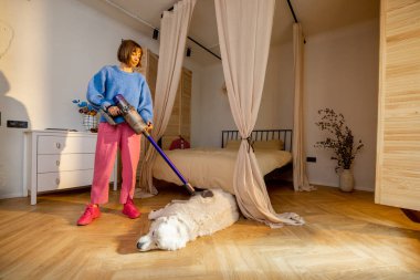 Bir kadın evdeki yatak odasında köpeğini kablosuz elektrik süpürgesiyle süpürüyor. Köpek kürkü konseptinden temizlemek