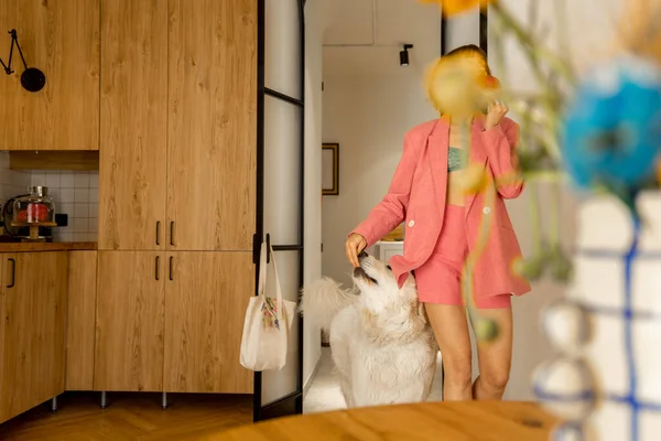 穿着粉红西服的女人和她的狗在时髦的现代公寓里消磨时光 家庭生活方式 — 图库照片