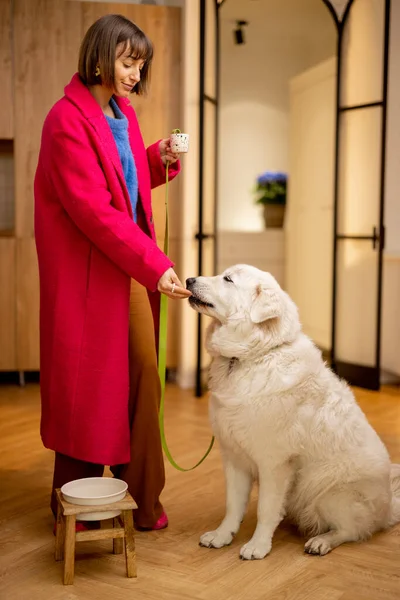 身穿粉色外套的年轻女子站在公寓客厅里散步前先喂狗 — 图库照片