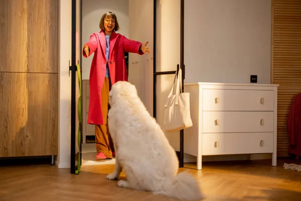 Köpek Sahibini Oturma Odasının Kapısında Karşılar Evcil Hayvanlarınız Sizi Beklerken — Stok fotoğraf