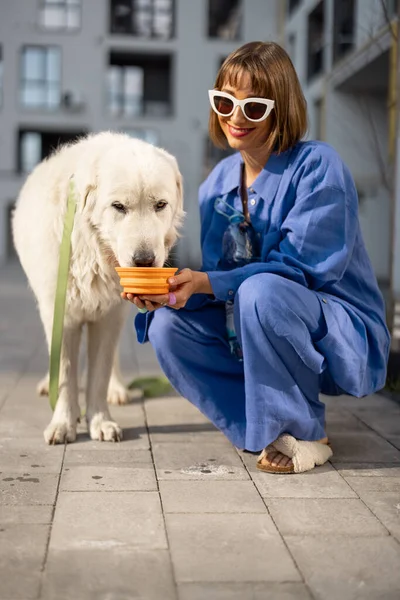 stock image Young woman gives water to drink into portable waterer for her dog during a walk at inner yard of apartment building. concept of pet care