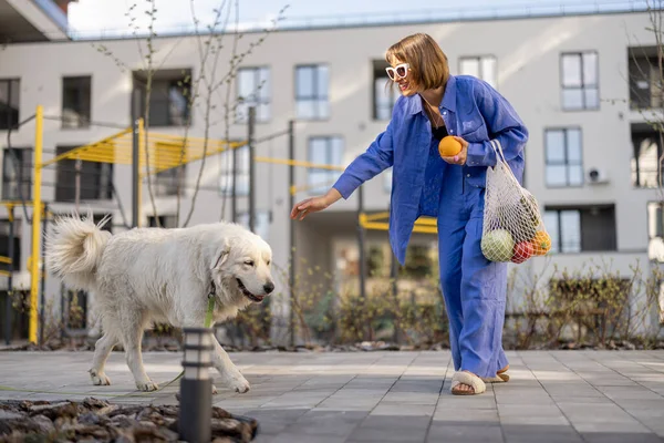 Mujer Joven Pijama Azul Pasea Con Perro Lleva Una Bolsa —  Fotos de Stock