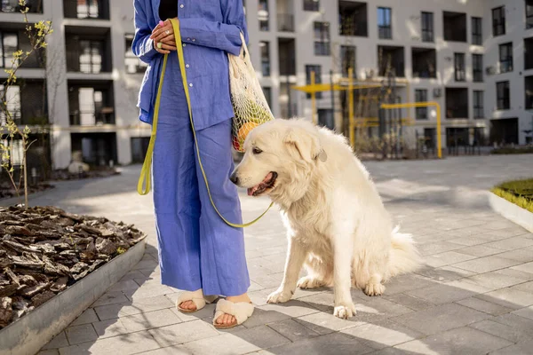 Young woman walks with her dog and carry mesh bag full of fresh fruits and vegetables at inner yard of apartment building. Sustainable and modern lifestyle concept