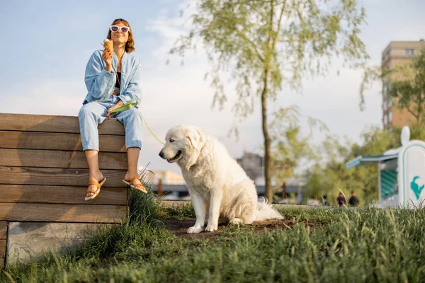 公園で可愛い白い犬とベンチに座りながらアイスクリームを食べる若い女性 余暇を一緒に過ごす — ストック写真