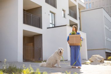 Karton kutular taşıyan bir kadın, yeni binadaki evine köpeğiyle yürüyor. Taşınma, yeni mülk ya da teslimat kavramı