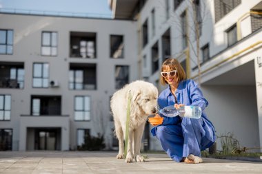 Genç bir kadın, apartmanın iç bahçesinde yürürken köpeğine taşınabilir su içirmek için su veriyor. Hayvan bakımı kavramı