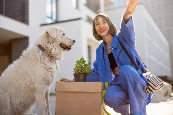 Woman Cares Her Dog While Sitting Cardboard Box Flowerpot Relocating — Stock Photo, Image