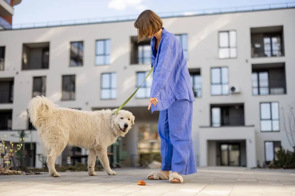 Mujer Señala Con Dedo Caca Los Perros Mientras Camina Con —  Fotos de Stock