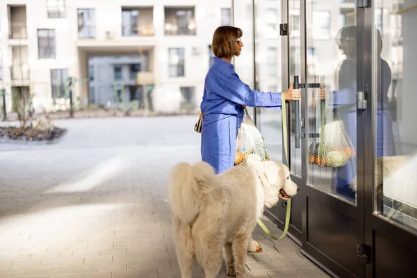 Mujer Con Perro Entrando Edificio Apartamentos Llevando Una Bolsa Malla —  Fotos de Stock