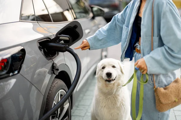一个女人从她的电动车里拔出一个充电插头 和她的狗一起散步 电动车的概念和与宠物的友谊 — 图库照片