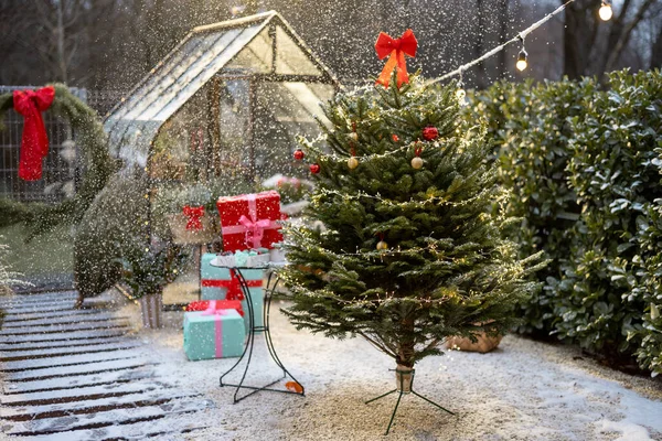 Όμορφα Διακοσμημένη Πίσω Αυλή Κουτιά Δώρων Χριστουγεννιάτικο Δέντρο Και Στεφάνια — Φωτογραφία Αρχείου