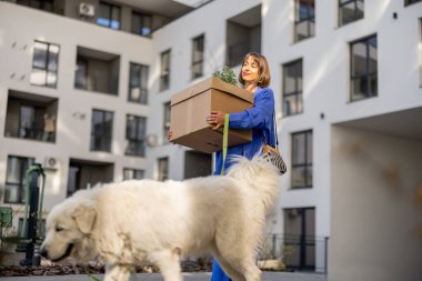 Karton kutular taşıyan bir kadın, yeni apartmanın bahçesindeki evine köpeğiyle yürüyor. Taşınma, yeni mülk ya da teslimat kavramı