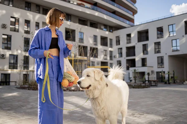 Mujer Joven Pasea Con Perro Llevar Bolsa Malla Llena Frutas —  Fotos de Stock